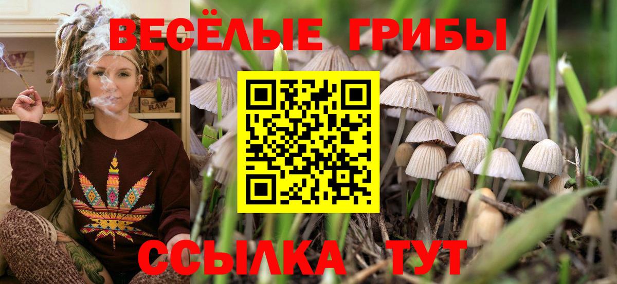 Псилоцибиновые грибы MAGIC MUSHROOMS  Псилоцибиновые грибы Magic Shrooms  Армавир  магазин  наркотиков  Вход с VPN 